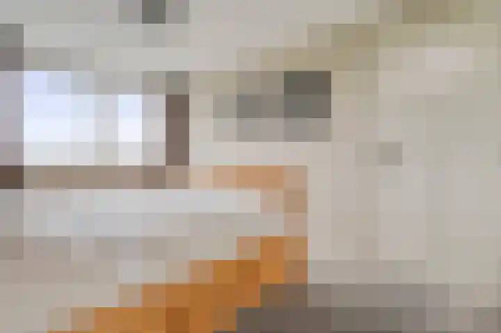 Hooilaan 14 De Kwakel thumbnail 27