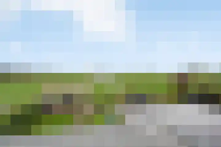Hooilaan 14 De Kwakel thumbnail 28