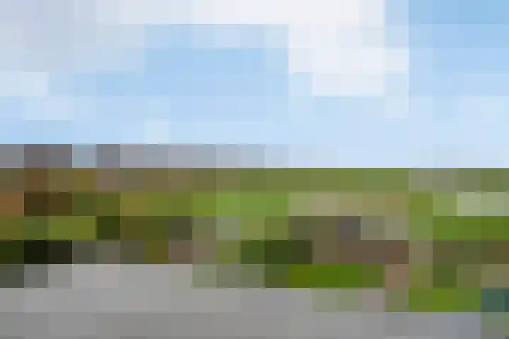 Hooilaan 14 De Kwakel thumbnail 29