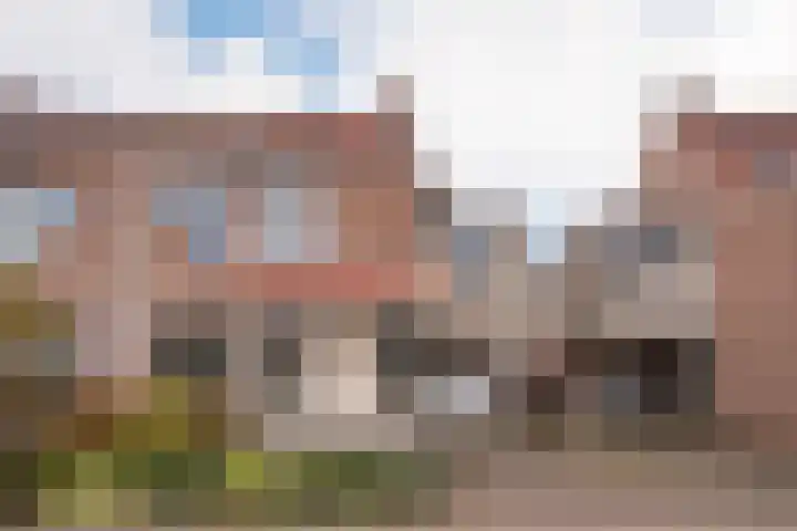 Hooilaan 14 De Kwakel foto 3