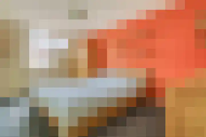 Hooilaan 14 De Kwakel thumbnail 30