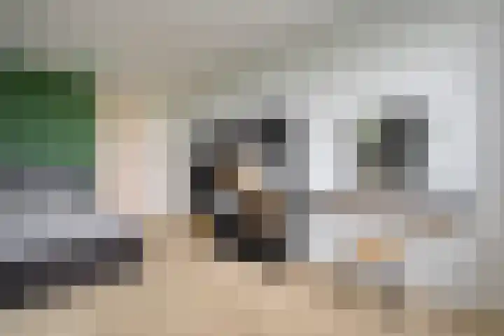 Hooilaan 14 De Kwakel thumbnail 34