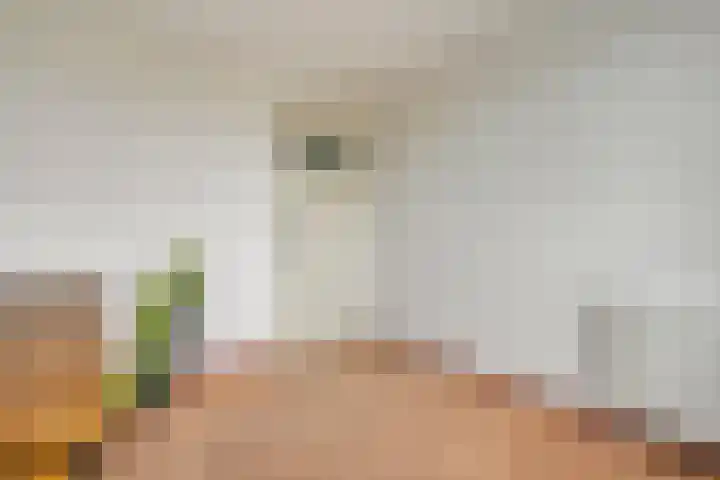 Hooilaan 14 De Kwakel thumbnail 38