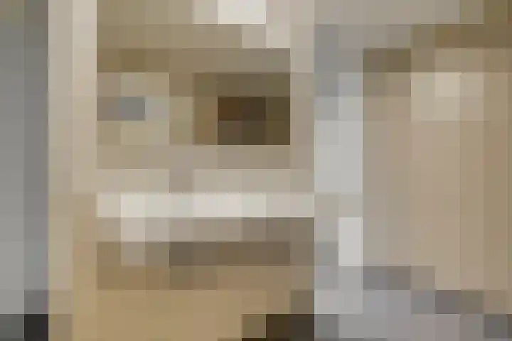 Hooilaan 14 De Kwakel thumbnail 39