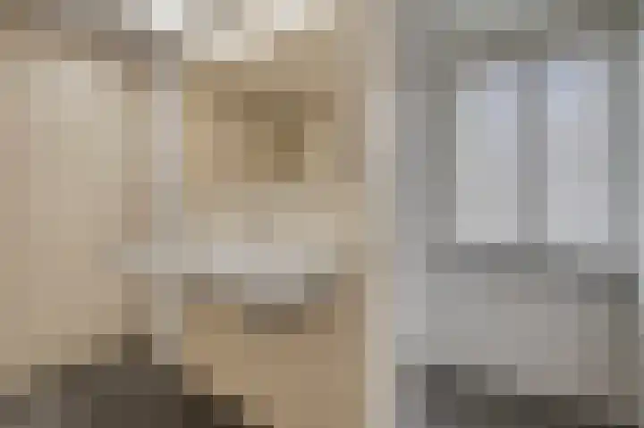 Hooilaan 14 De Kwakel thumbnail 40
