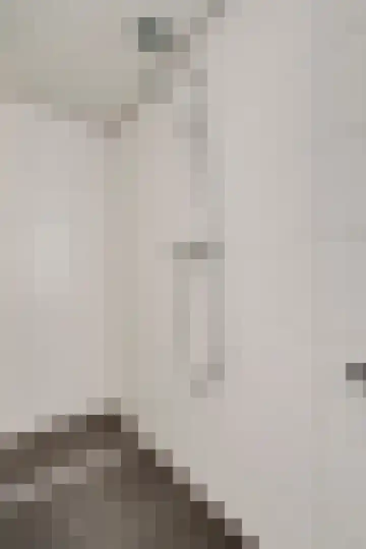 Hooilaan 14 De Kwakel thumbnail 41