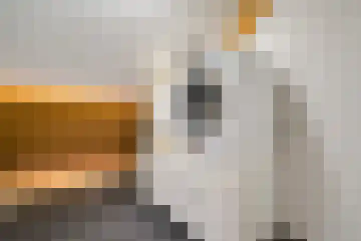 Hooilaan 14 De Kwakel thumbnail 45