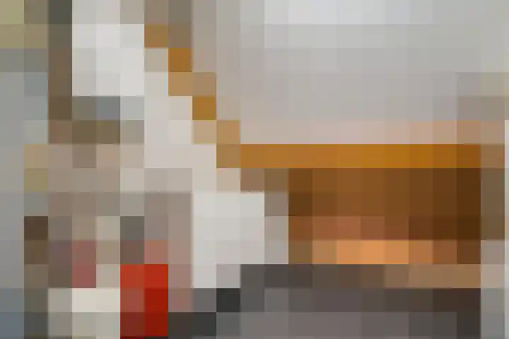Hooilaan 14 De Kwakel thumbnail 46