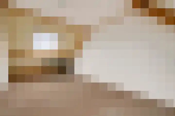 Hooilaan 14 De Kwakel thumbnail 47