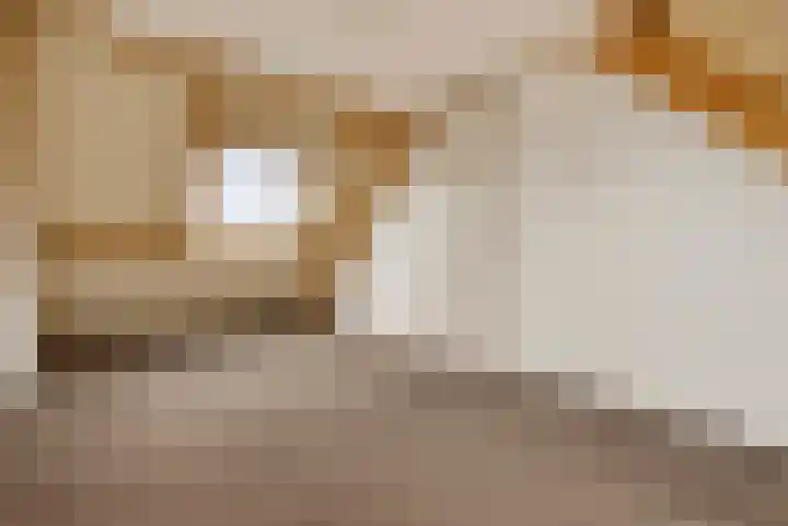Hooilaan 14 De Kwakel thumbnail 48