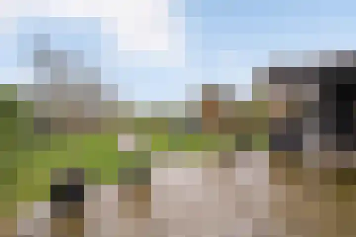 Hooilaan 14 De Kwakel thumbnail 5