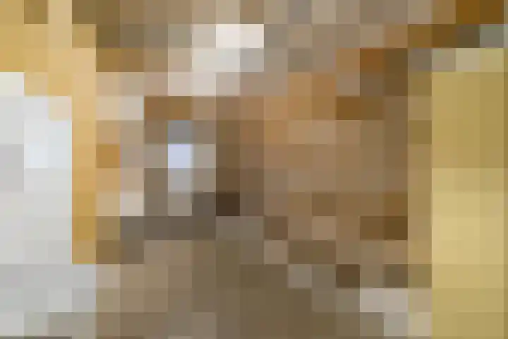 Hooilaan 14 De Kwakel thumbnail 51