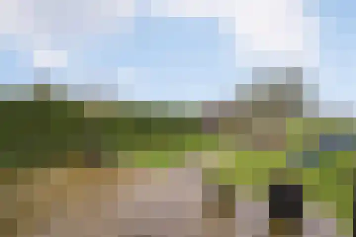 Hooilaan 14 De Kwakel thumbnail 52
