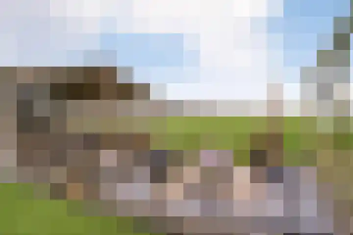 Hooilaan 14 De Kwakel thumbnail 55