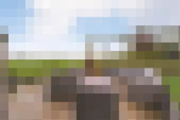 Hooilaan 14 De Kwakel thumbnail 56