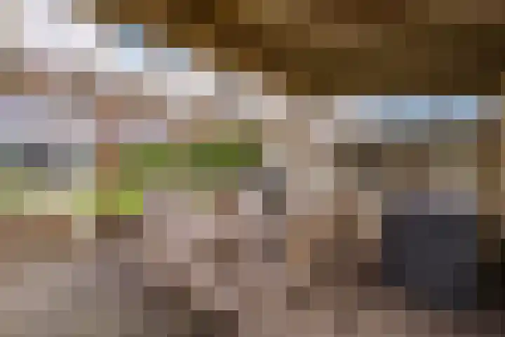 Hooilaan 14 De Kwakel thumbnail 58