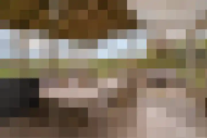 Hooilaan 14 De Kwakel thumbnail 59