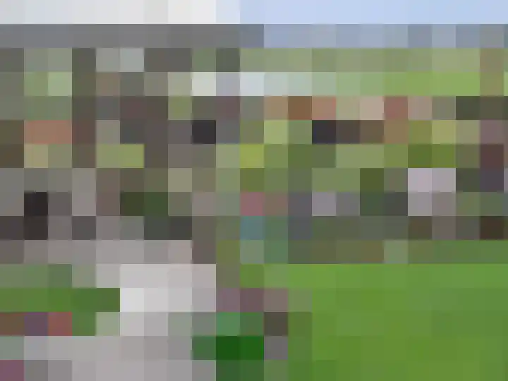 Hooilaan 14 De Kwakel thumbnail 6