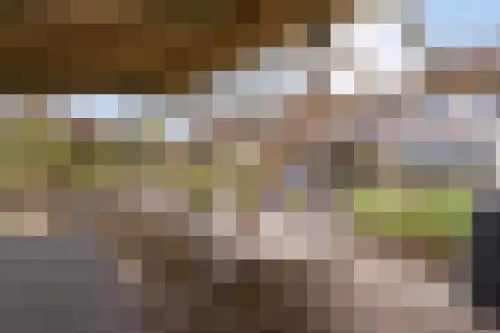Hooilaan 14 De Kwakel thumbnail 60