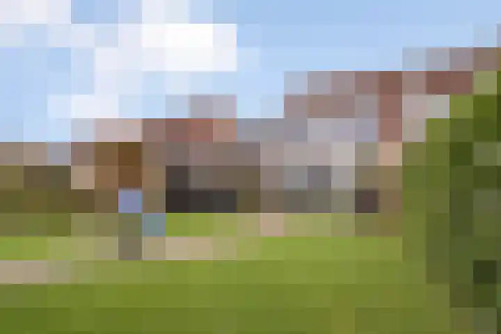 Hooilaan 14 De Kwakel thumbnail 61