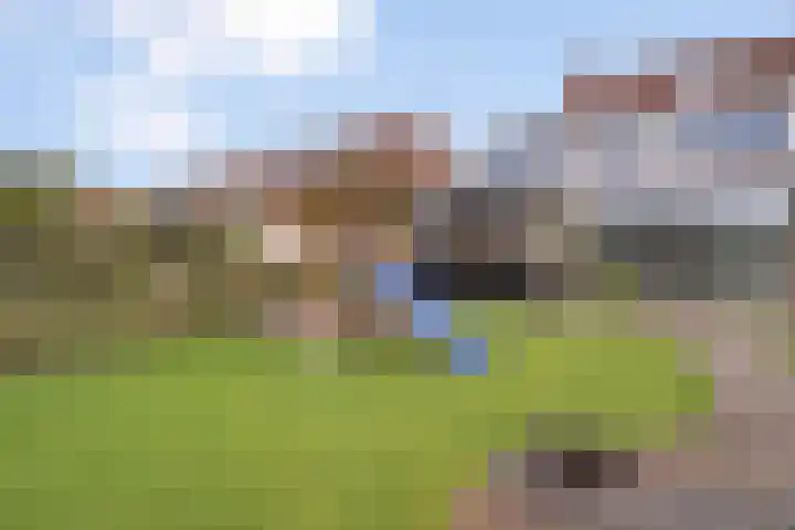 Hooilaan 14 De Kwakel thumbnail 62