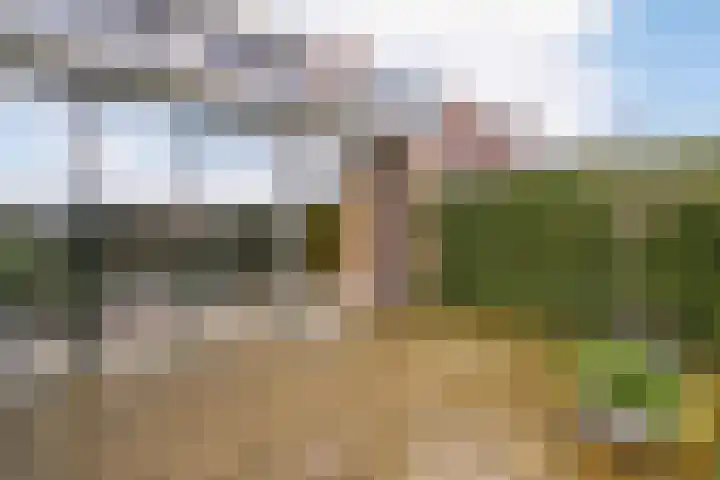 Hooilaan 14 De Kwakel thumbnail 63