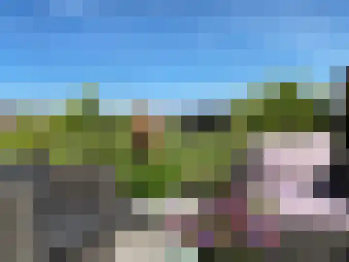 Hooilaan 14 De Kwakel thumbnail 64