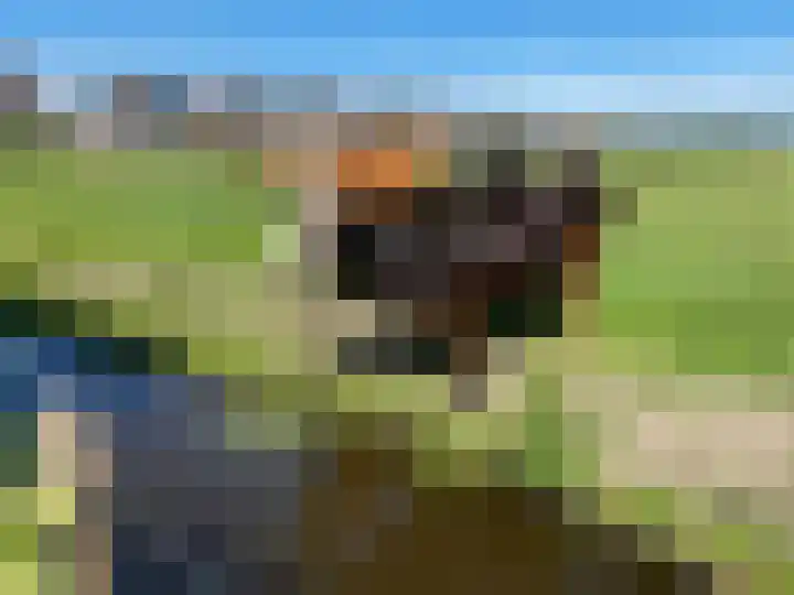 Hooilaan 14 De Kwakel thumbnail 65