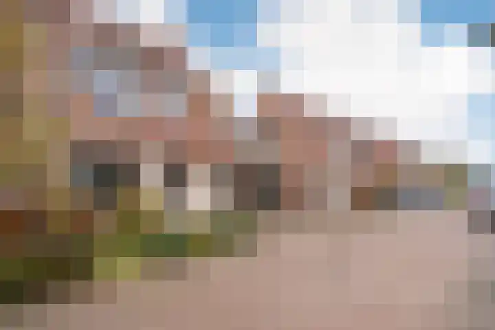 Hooilaan 14 De Kwakel thumbnail 68