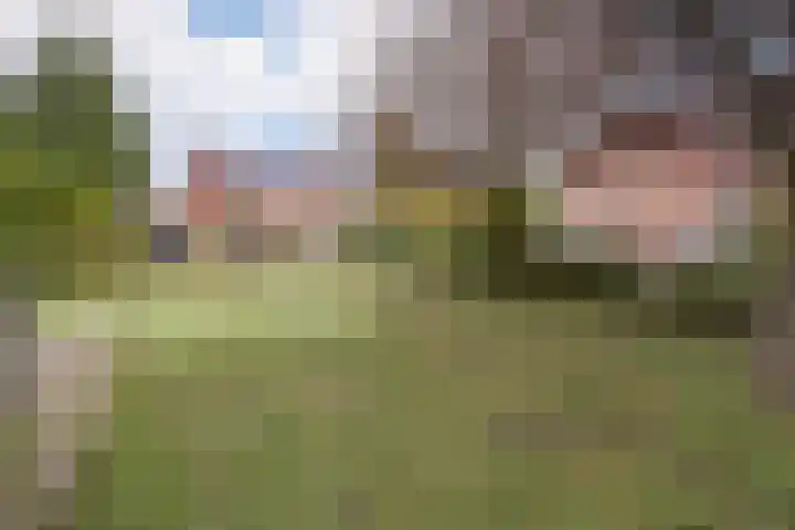 Hooilaan 14 De Kwakel thumbnail 69