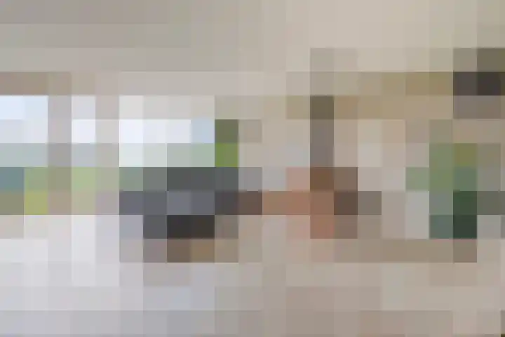 Hooilaan 14 De Kwakel thumbnail 7