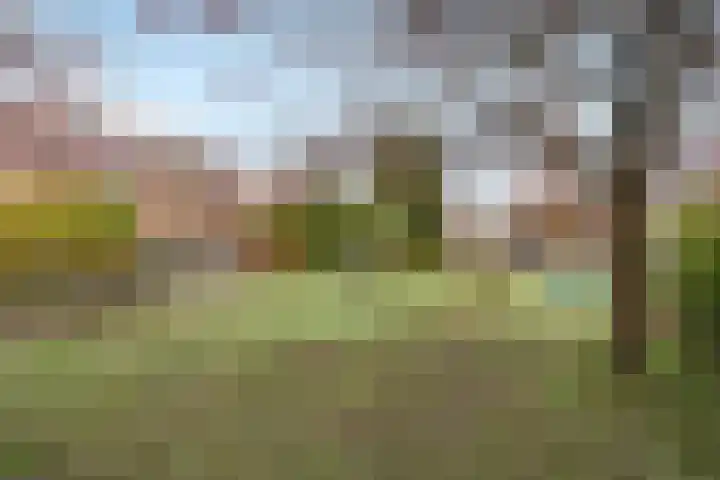 Hooilaan 14 De Kwakel thumbnail 70