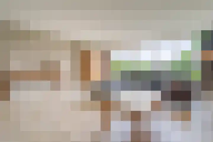 Hooilaan 14 De Kwakel thumbnail 9