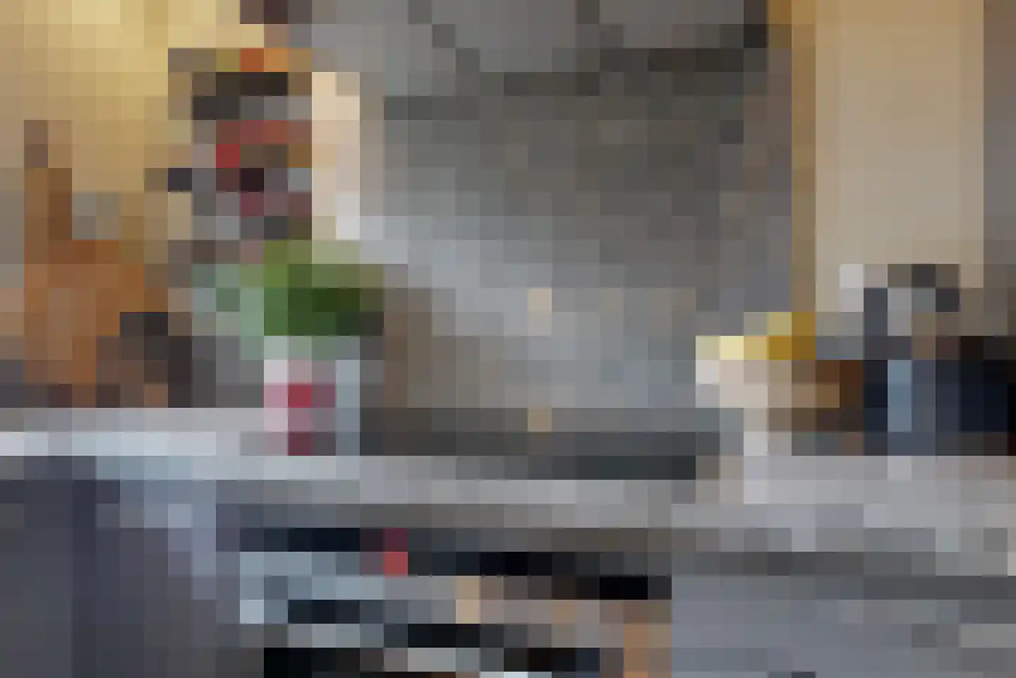 Hooilaan 17 De Kwakel thumbnail 11