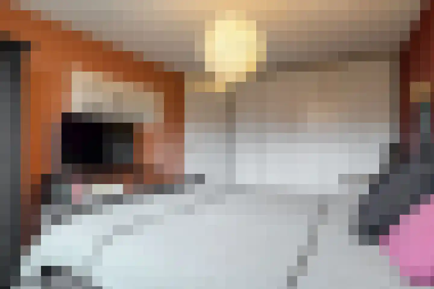 Hooilaan 17 De Kwakel thumbnail 15