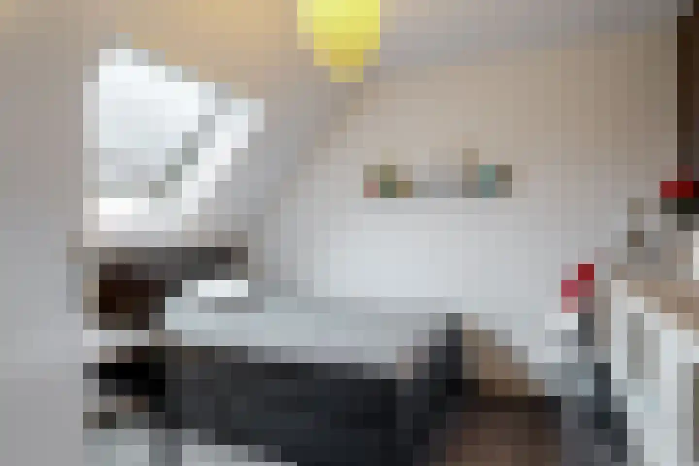 Hooilaan 17 De Kwakel thumbnail 16