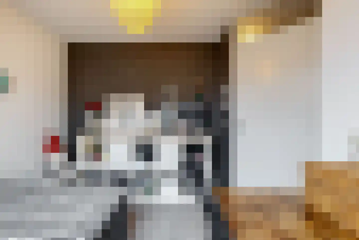 Hooilaan 17 De Kwakel thumbnail 18