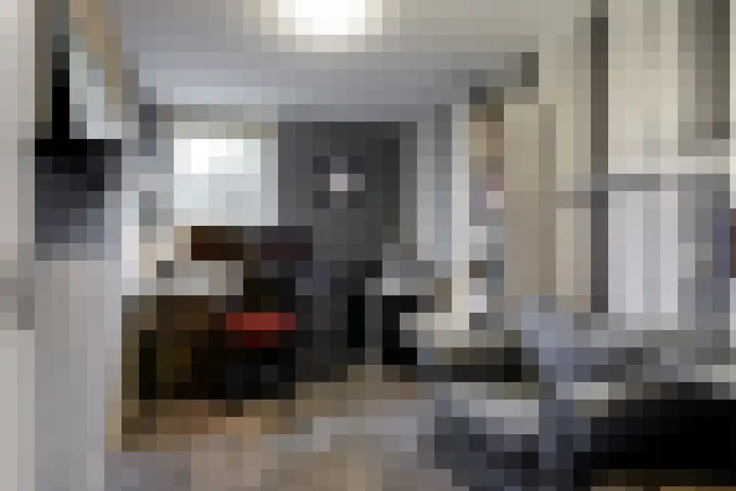Hooilaan 17 De Kwakel thumbnail 19