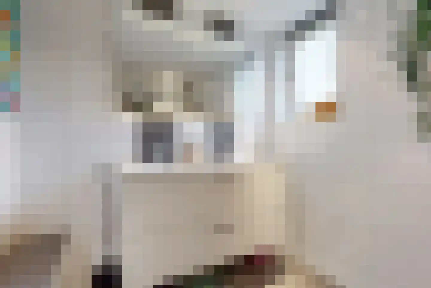 Hooilaan 17 De Kwakel thumbnail 21