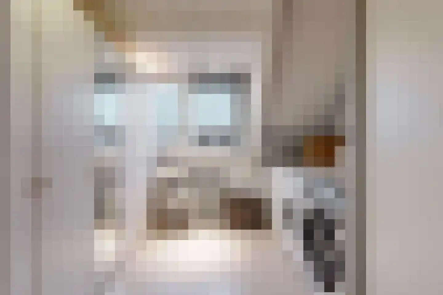 Hooilaan 17 De Kwakel thumbnail 25