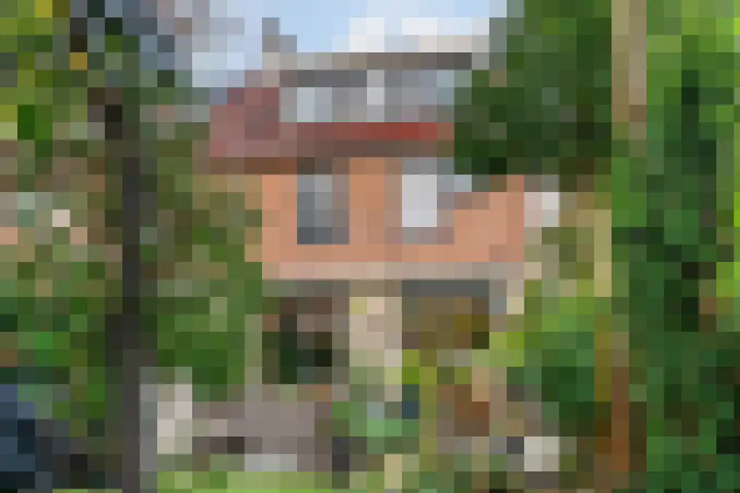 Hooilaan 17 De Kwakel thumbnail 29