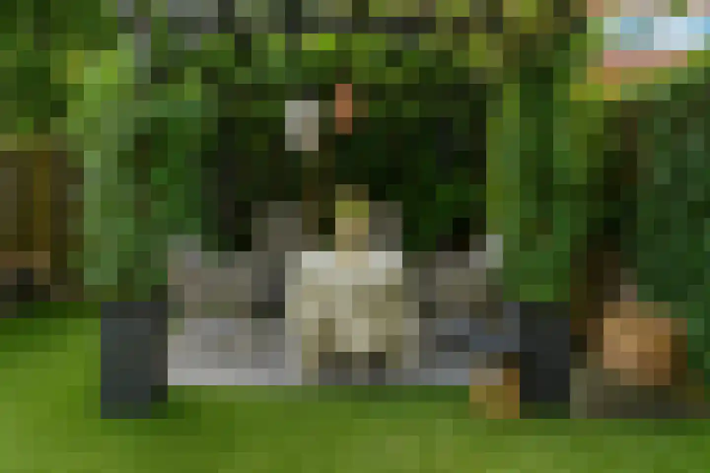 Hooilaan 17 De Kwakel thumbnail 31