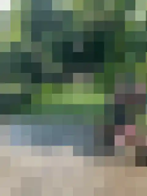 Hooilaan 17 De Kwakel thumbnail 33
