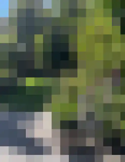 Hooilaan 17 De Kwakel thumbnail 35
