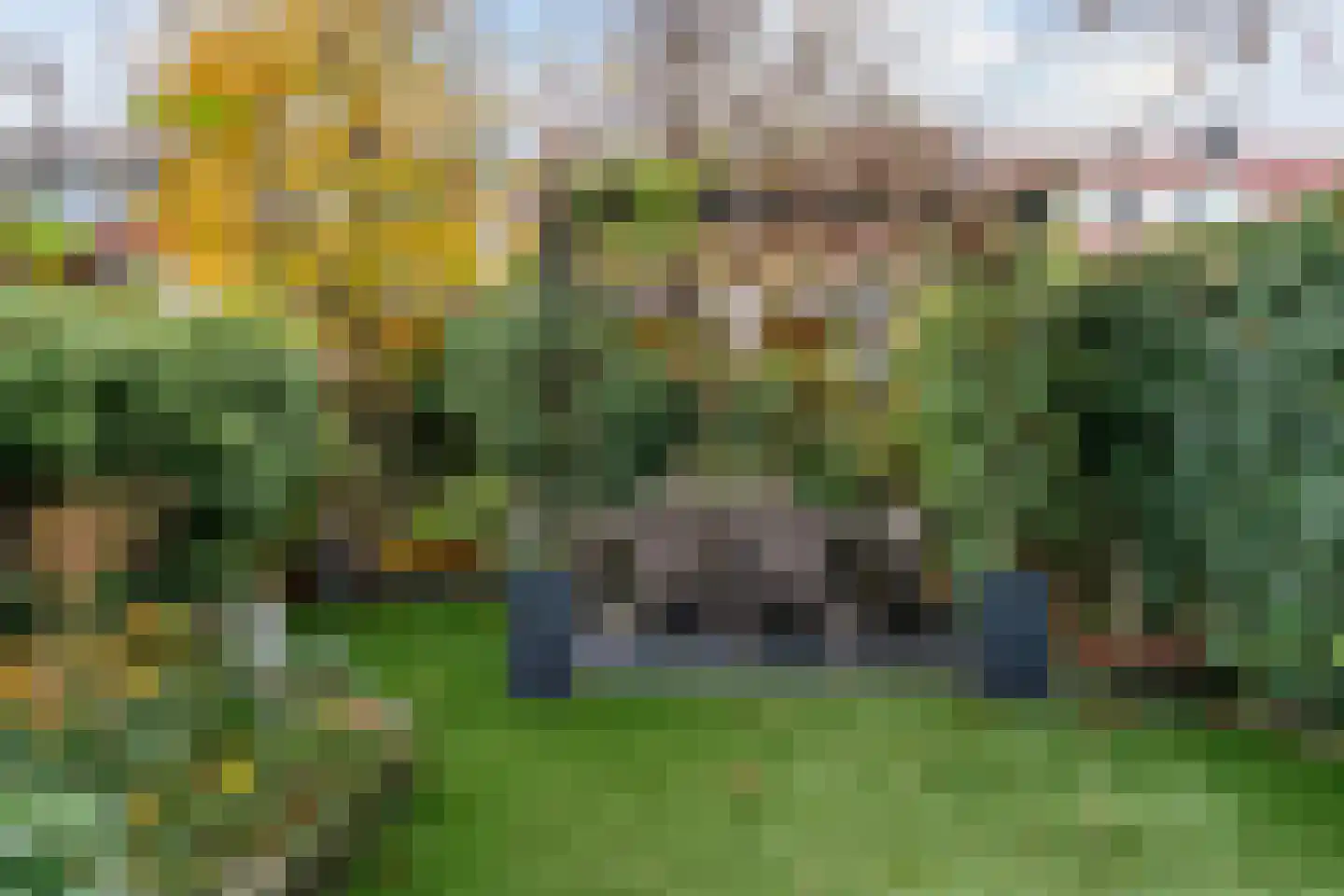 Hooilaan 17 De Kwakel thumbnail 4