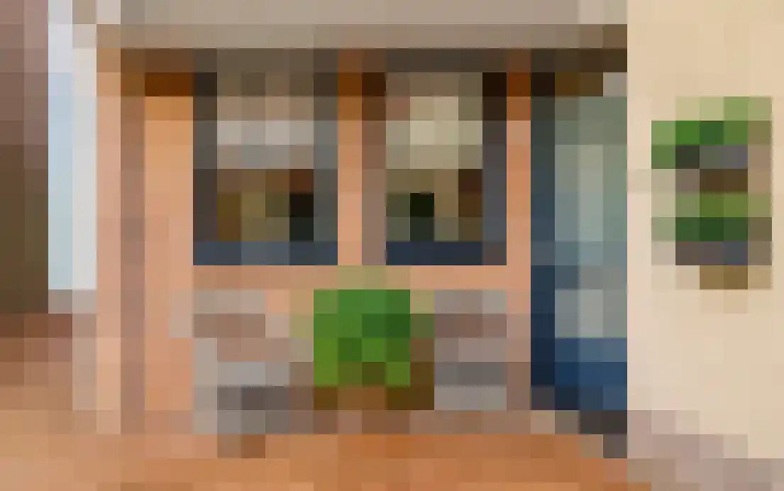 Hooilaan 17 De Kwakel thumbnail 6