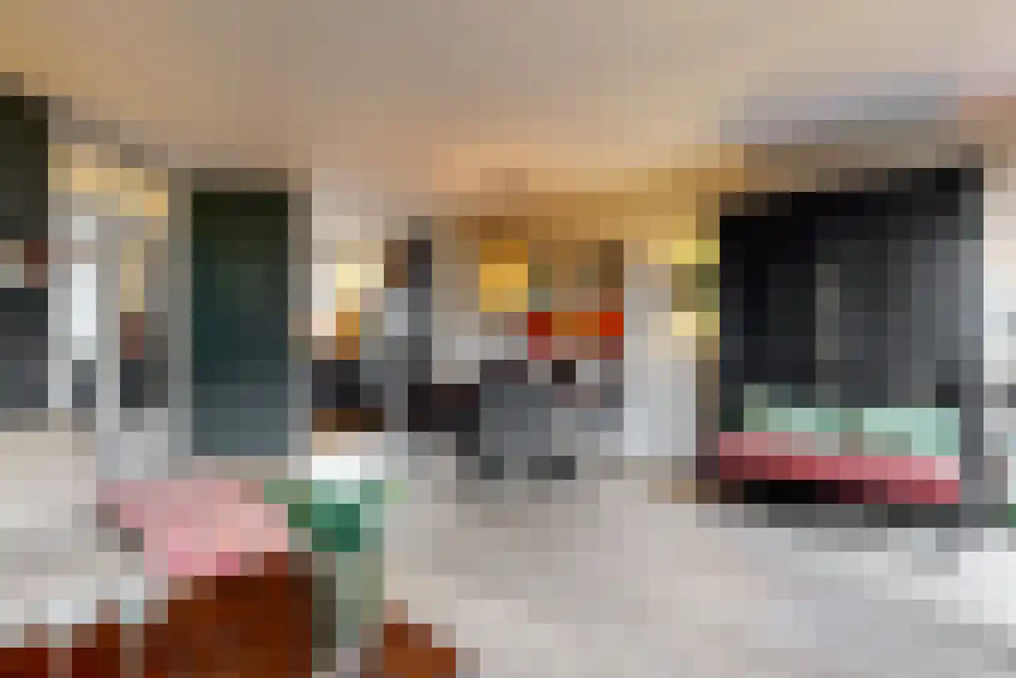 Hooilaan 17 De Kwakel thumbnail 8