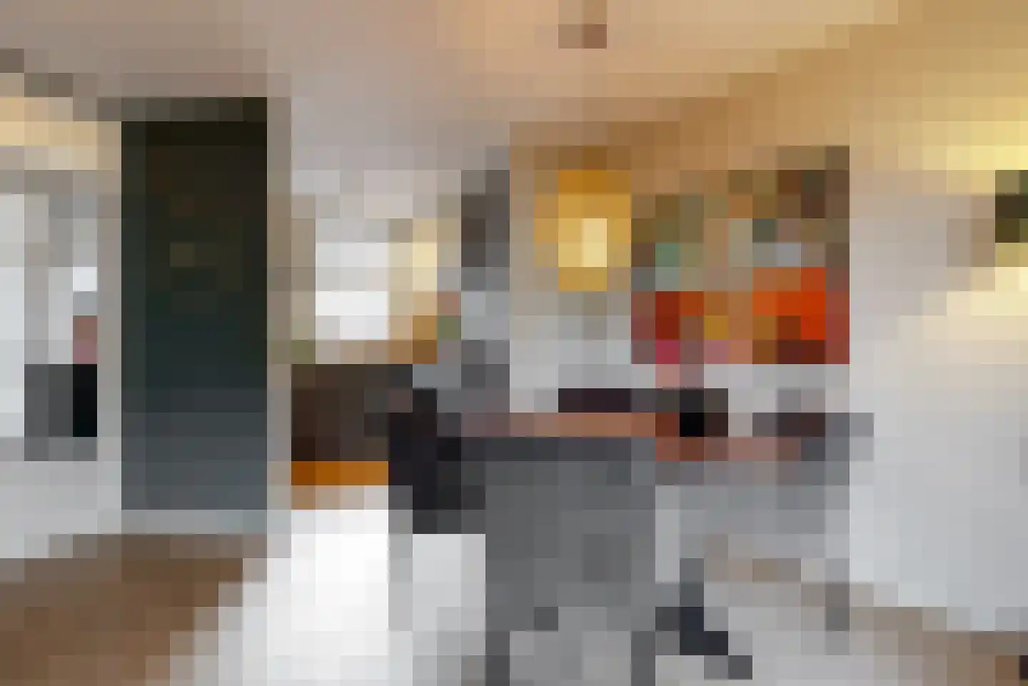 Hooilaan 17 De Kwakel thumbnail 9