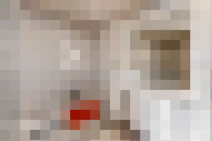 Hooilaan 8 De Kwakel thumbnail 10