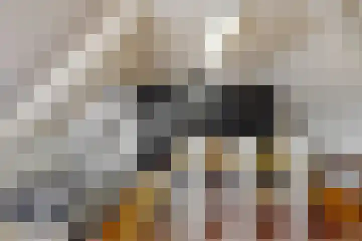 Hooilaan 8 De Kwakel thumbnail 16